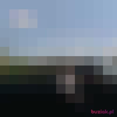 smialyqazwsx123, Male, 37 years, Białystok