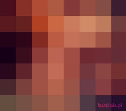NiegrzecznyChop, Male, 32 years, Sosnowiec