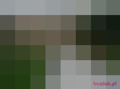 maja77777, Female, 61 years, Bytom