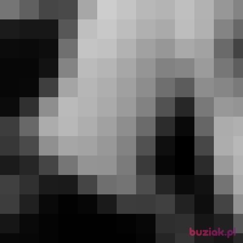 Teddybar, Male, 42 years, Stade