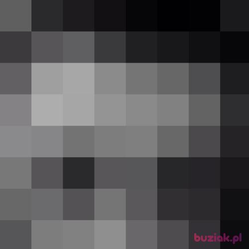 17KATOwice, Male, 29 years, Katowice