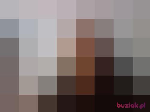 reno1, Male, 44 years, Bielsko-Biała
