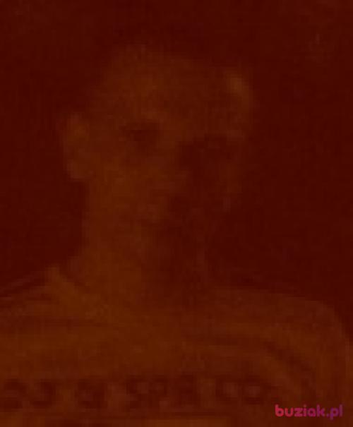 kajmanek2015, Male, 43 years, Strzegom