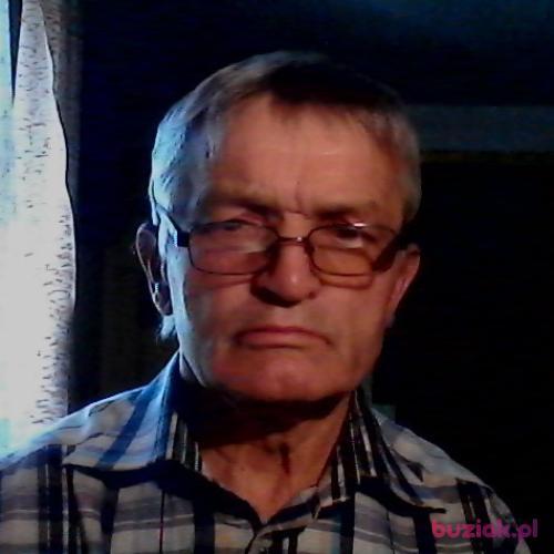 dzielny, Male, 70 years, Mogilno