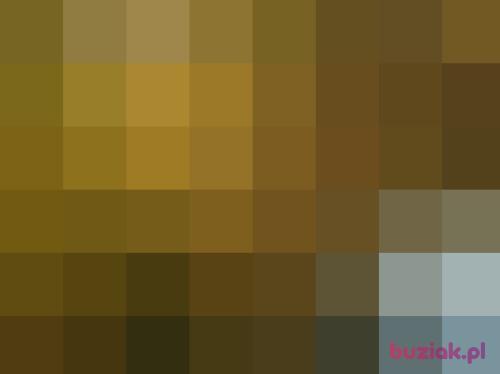 dawidoxd, Male, 41 years, Nisko