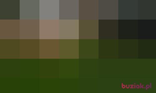 Gosciuu, Male, 39 years, Bydgoszcz