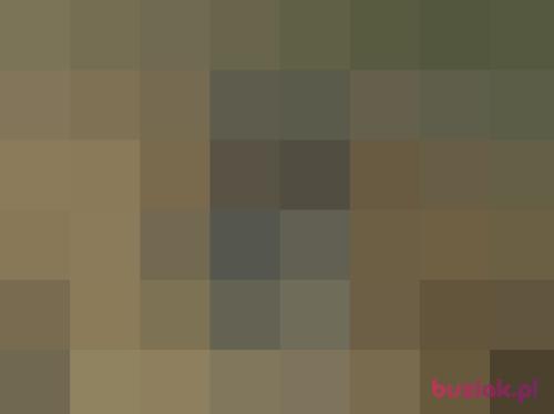BVB0909, Male, 32 years, Białystok