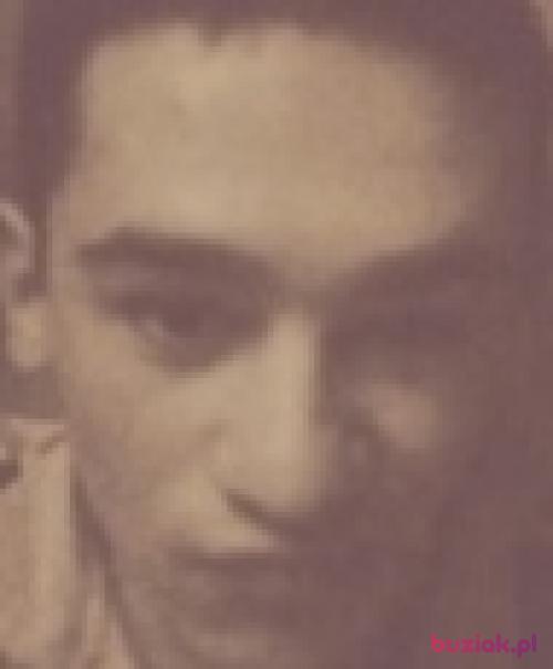 Przemo1923, Mężczyzna, 30 lat, Grudziądz