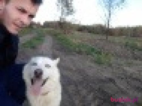 Pasiek, Male, 36 years, Wrocław