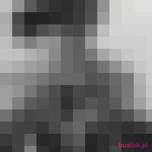 Bartekxyz1, Male, 26 years, Lisse