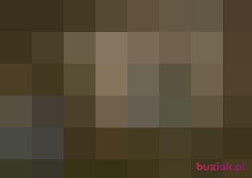 mix122, Male, 52 years, Czechowice-Dziedzice