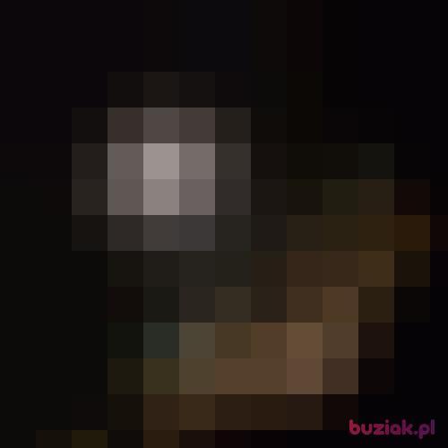Michalllll, Male, 27 years, Gdańsk