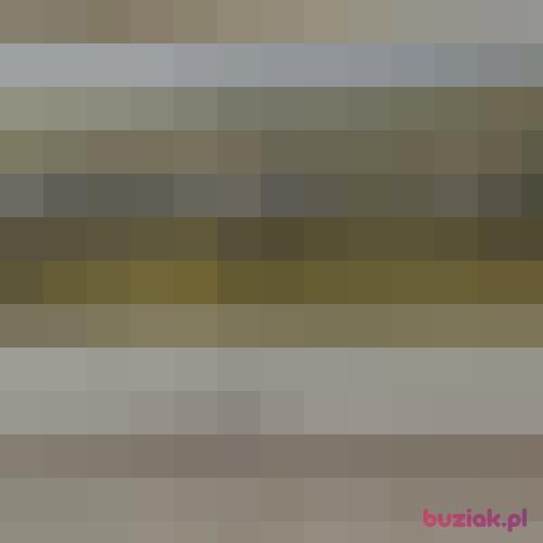 xsavier, Male, 43 years, Birmingham