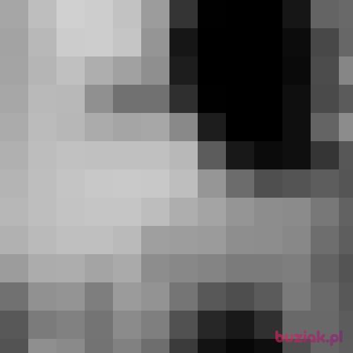 mob, Male, 42 years, Haga
