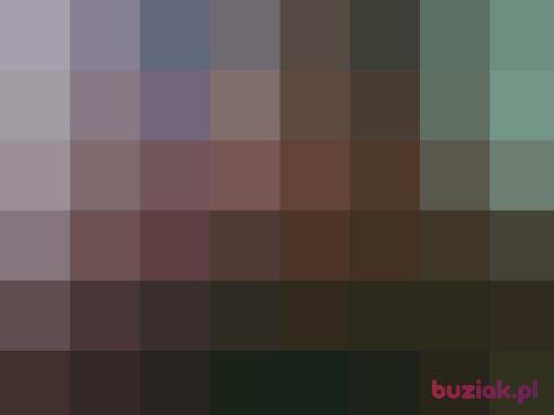 blus61, Male, 64 years, Starachowice