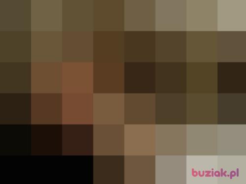 lucyfer888, Mężczyzna, 47 lat, pomorskie