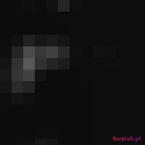smialylokokoko, Male, 34 years, Stade