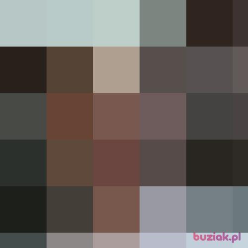 walecznypppp, Male, 33 years, Tilburg