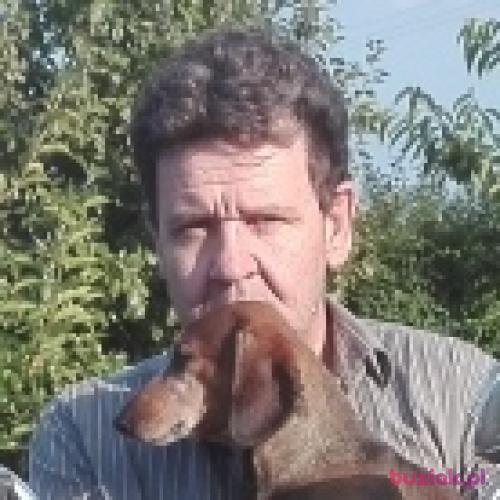 mariuszxxx2, Male, 58 years, Toruń