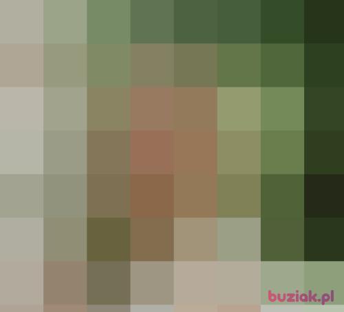 lili0123, Female, 37 years, Wrocław