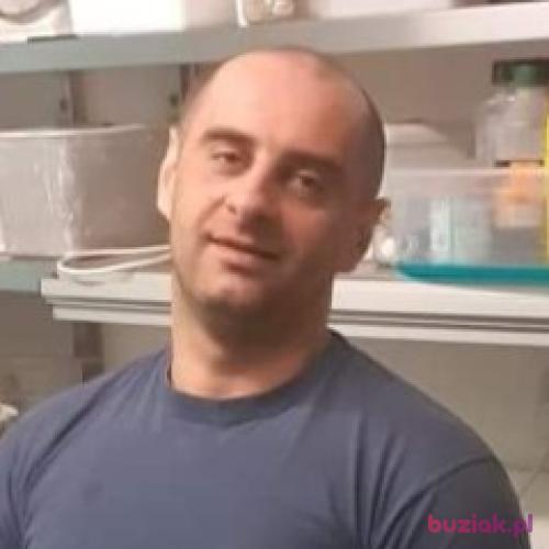 Tomasz0801, Male, 39 years, Boston