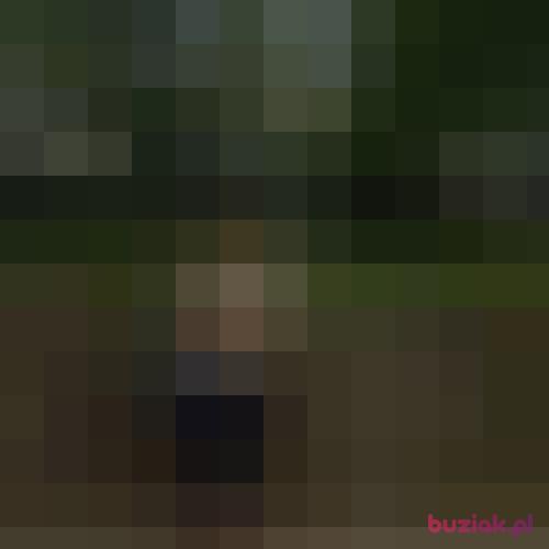 SNICKERSIK4U, Male, 46 years, Wrocław