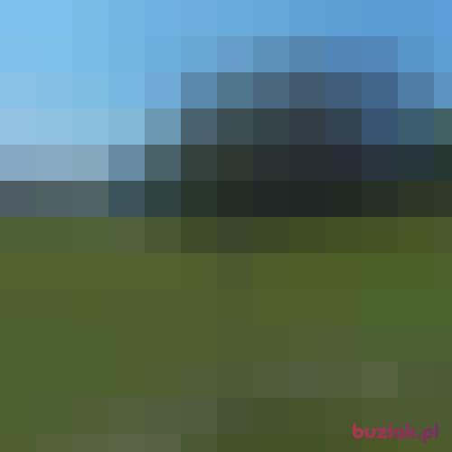 Asiek91, Kobieta, 35 lat, Dortmund