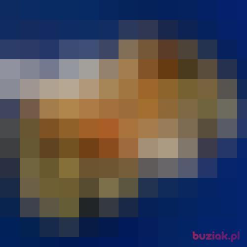 czaptyzNL, Male, 35 years, Arcen