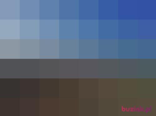Goscinna, Female, 36 years, Haarlem