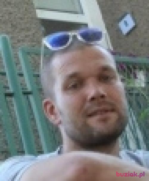 dyrekto, Mężczyzna, 42 lata, Oss