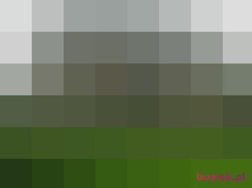 marcinnek, Female, 58 years, Katowice
