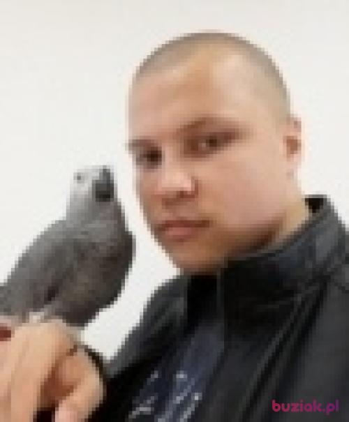 Bartosz1991r, Male, 34 years, Lubin