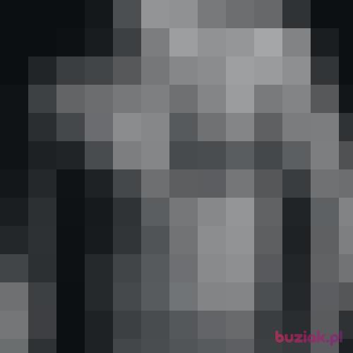 RRadek84, Male, 42 years, Bielsko-Biała
