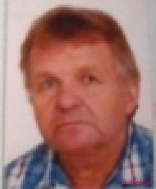 Jerzyb, Male, 71 years, Bytom
