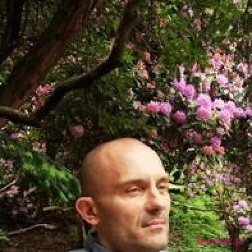 Henryk45, Male, 51 years, Wałbrzych