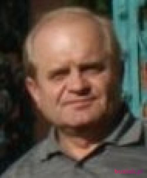 musashi01, Male, 62 years, Knurów
