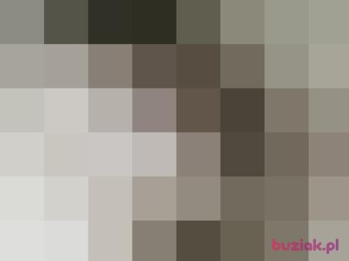 PaulitekK1991, Female, 35 years, Bydgoszcz