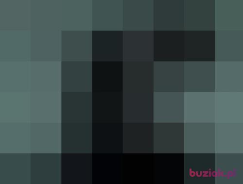 mrok1, Male, 45 years, Krotoszyn