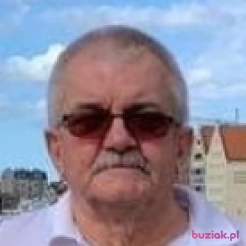 borysow38, Male, 76 years, Częstochowa