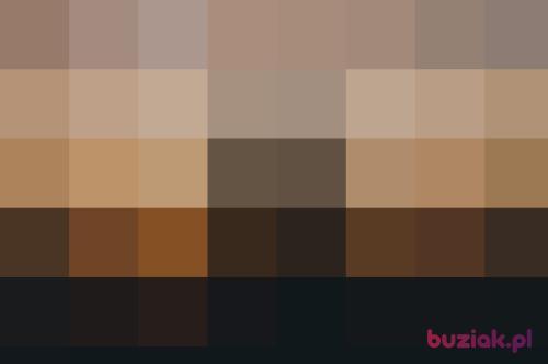 ArialBlack, Male, 32 years, Overijssel