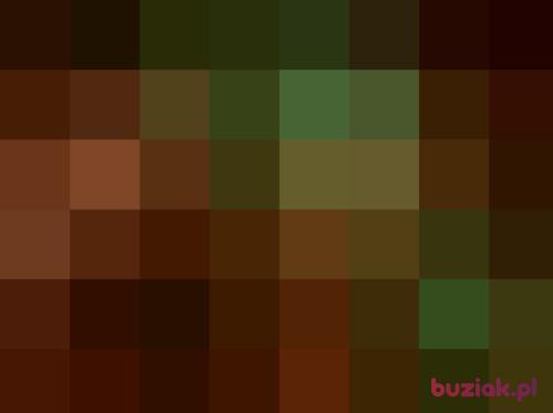annass, Male, 43 years, Boston