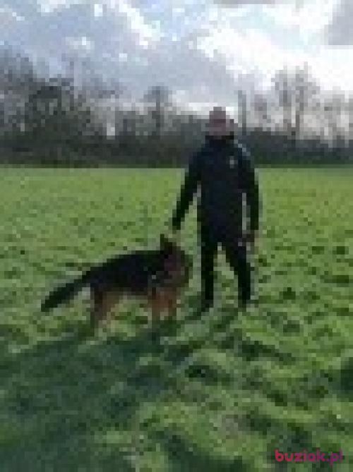 Marcooy, Male, 52 years, Manchester