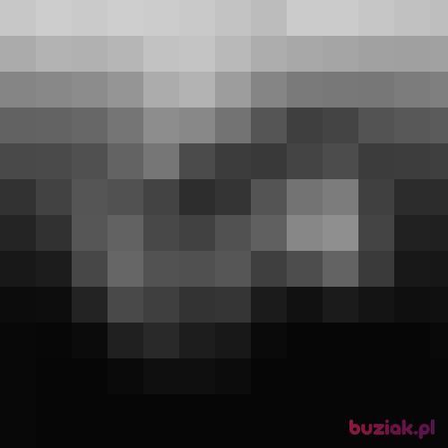 conceicao, Male, 38 years, Łódź